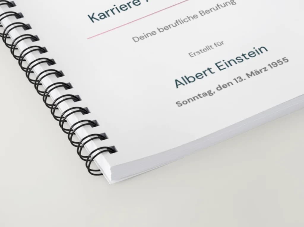 Karriere-Paket - Thumbnail 2